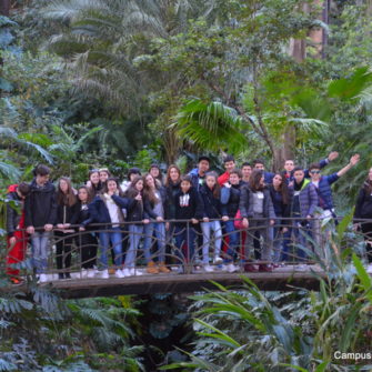 Campus Idiomático group travels to Málaga with Spanish classes and activities