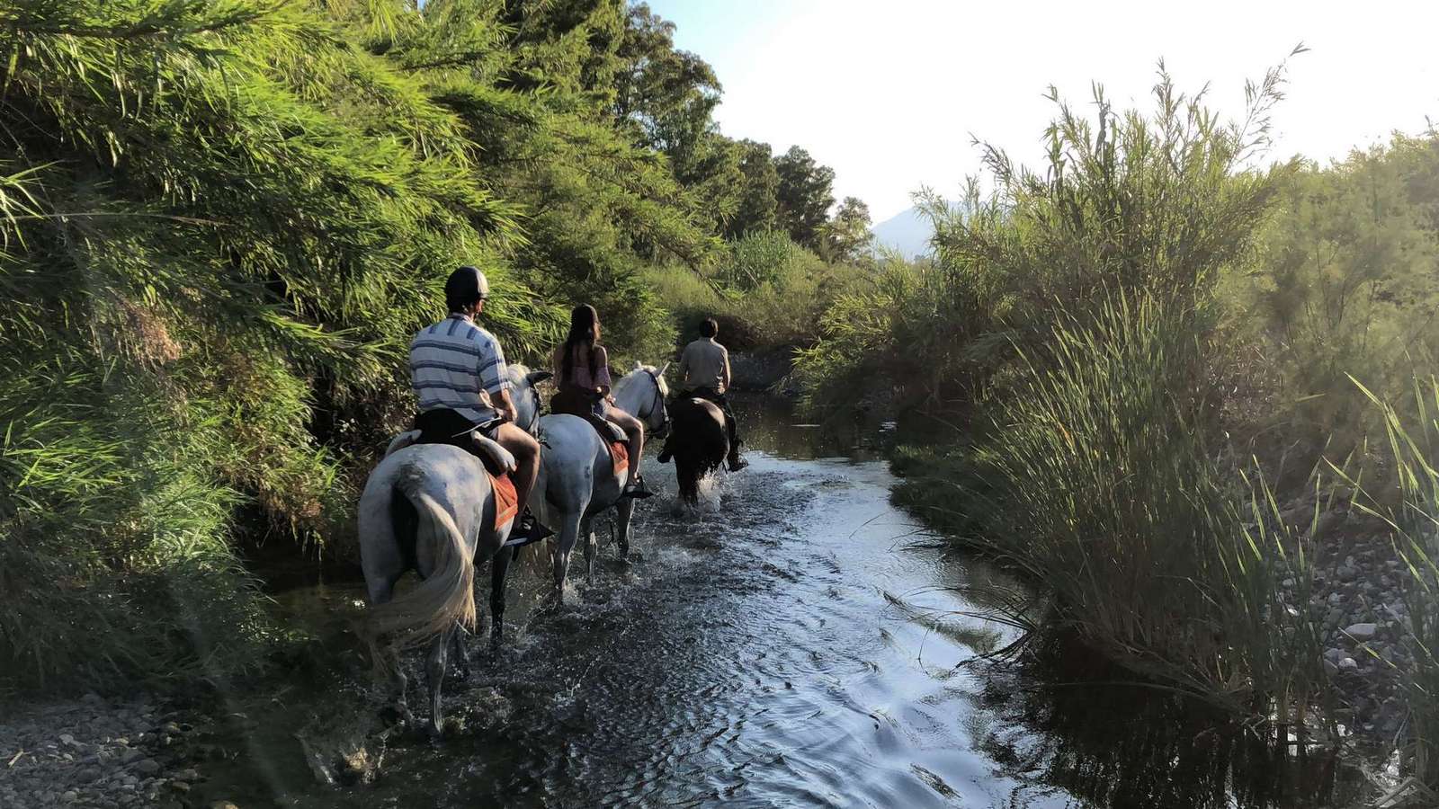 Horse-riding-rio-grande-paseo-a-caballo-montar-a-caballo-río-grande-4